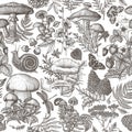 Seamless vector forest pattern with mushrooms, plants, insects, berries